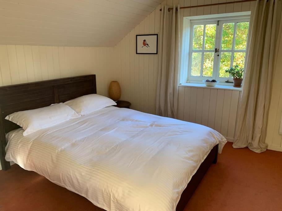 Trinity Annexe An Adorable First Floor Light And Lofty Space Within An Aonb Godmanstone Buitenkant foto